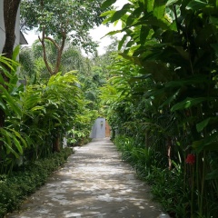 Almali Villa Mali - Bild 18