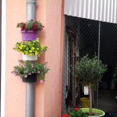 am Erxleben-Hotel - Bild 5