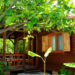 Baraka House - Bild 16