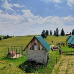 Holiday Home Klara in Zabljak, Montenegro from 122$, photos, reviews - zenhotels.com photo 4