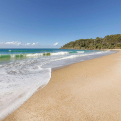 Club Wyndham Coffs Harbour, Trademark Collection by Wyndham thumbnail 22