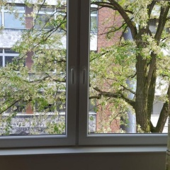 Ferienwohnungen Hankenstraße - Bild 6