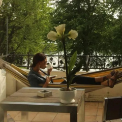 Hotel Excellent - Bild 19