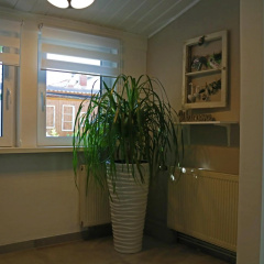 Dein Ferienhaus in Wernigerode - Bild 9