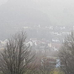 Ferienwohnung "HAGEBUTZE" mit Sauna und Schwimmbad - Bild 23