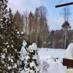 Harzbutze 60 - Bild 3