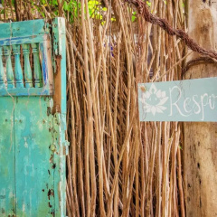 Namaste Beach Club & Hotel thumbnail 39