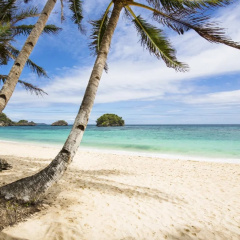 The Rose Pike at Boracay thumbnail 15