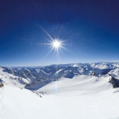 Grauer Bar - Bild 24
