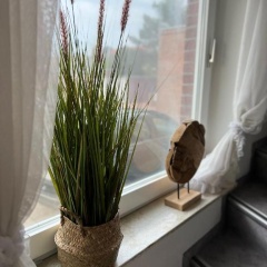 Haus Bettina - Bild 7
