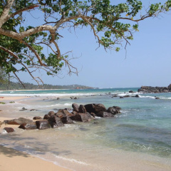 Surf Sea Breeze thumbnail 14