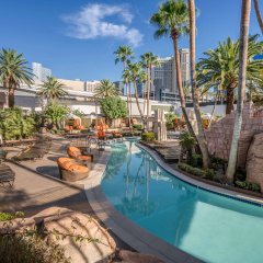 MGM Grand Hotel & Casino - Bild 20