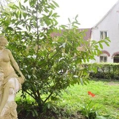 Gasthof zum Ritter - Bild 18
