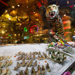 Tiger Complex Hotel - Bild 14