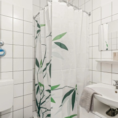 CASSEL LOFTS - Stylisches Dschungel-Studio nähe Uni & Klinikum - Bild 6