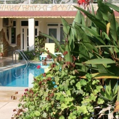 Windmolen Apart Bungalows - Bild 3