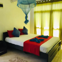 Отель Panorama Guesthouse Шри-Ланка, Берувела - отзывы, цены и фото номеров - забронировать отель Panorama Guesthouse онлайн фото 3