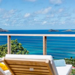 Villa 21 in Gustavia, St Barthelemy from 5457$, photos, reviews - zenhotels.com photo 16