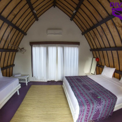 Diversia Diving Club & Bungalows - Bild 3