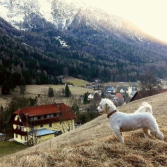 Bauernhof Hausmann thumbnail 4