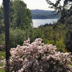 Swanlake B&B thumbnail 19