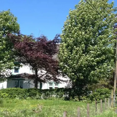 Gowanbrae Bed & Breakfast thumbnail 8