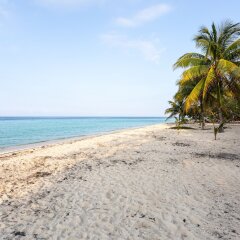 Villa ROA in Roatan, Honduras from 326$, photos, reviews - zenhotels.com photo 29