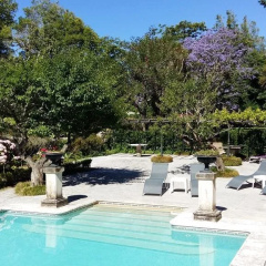 The Romantic Suites & Garden Guest House - Adults Only thumbnail 13