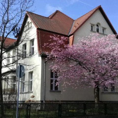 Das Kleine Hotel Weimar - Bild 1