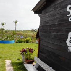 Surf House Helena thumbnail 8