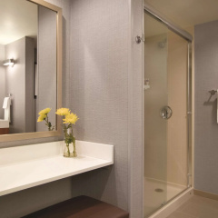 Hyatt Place Chicago/O'Hare Airport thumbnail 9