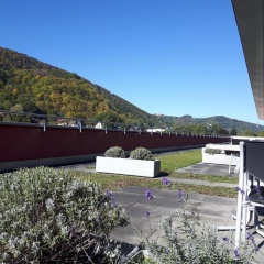 Gasthof Bokan - Bild 12