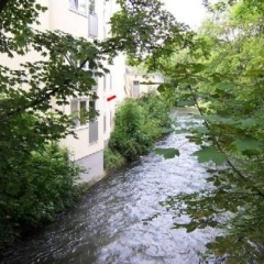 Apartment am Bach - Bild 13