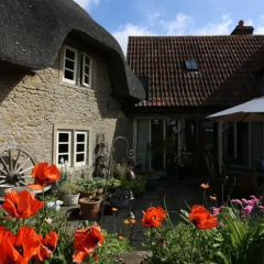 Thatch cottage thumbnail 1