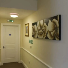 The Red lion thumbnail 14