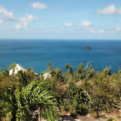 Dream Villa Colombier 713 in Gustavia, Saint Barthelemy from 1448$, photos, reviews - zenhotels.com photo 6