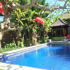 Bisma Sari Resort Ubud - Bild 11