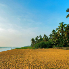 Taprobana Wadduwa by Asia Leisure thumbnail 12