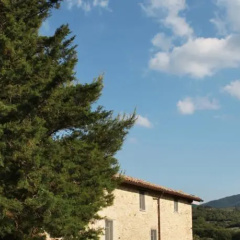 Tenuta San Felice thumbnail 2