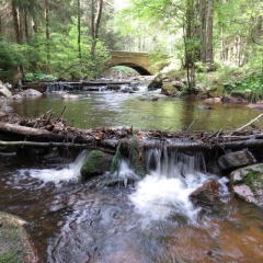 FeWo Kruse am Wurmberg - Bild 10