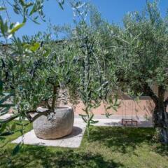 Отель Guest House Maslina Хорватия, Умаг - отзывы, цены и фото номеров - забронировать отель Guest House Maslina онлайн фото 17