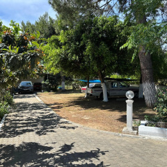 Ali Baba Hotel - Bild 20