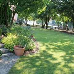Hotel garni Bellevue - Bild 12