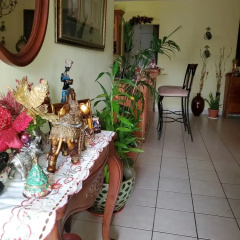 Yoli's Bed & Breakfast thumbnail 13