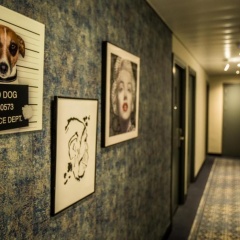 NYX Hotel Madrid by Leonardo Hotels - Bild 27