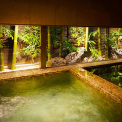 Super Hotel Premier Akasaka thumbnail 25