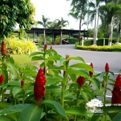 The Canal Garden Resort thumbnail 40