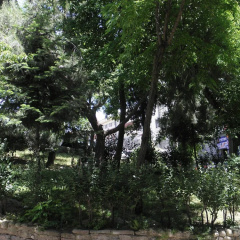 Nisa Sultan Taksim Residence - Bild 17