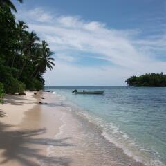 Ropiko Beach Resort in Gatokae, Solomon Islands from 214$, photos, reviews - zenhotels.com beach