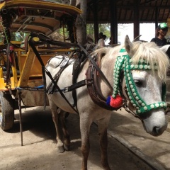 Gili Countrysaid Villa - Bild 1